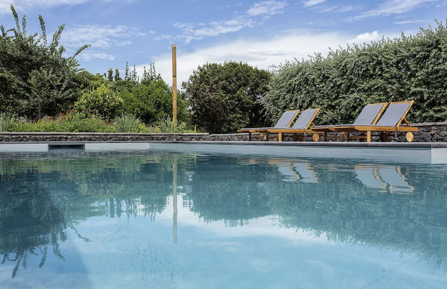 Quinta dos Peixes Falantes - Foto 54