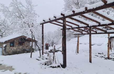 Tana della Lavanda - Photo 59