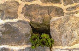 Miravalle Heritage - Photo 37