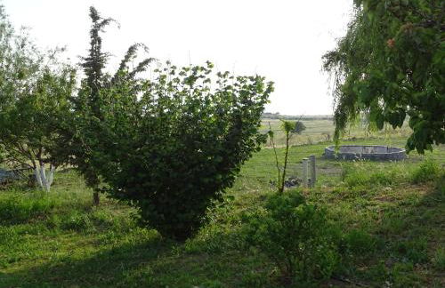 MELENIOS HOUSES - Foto 24
