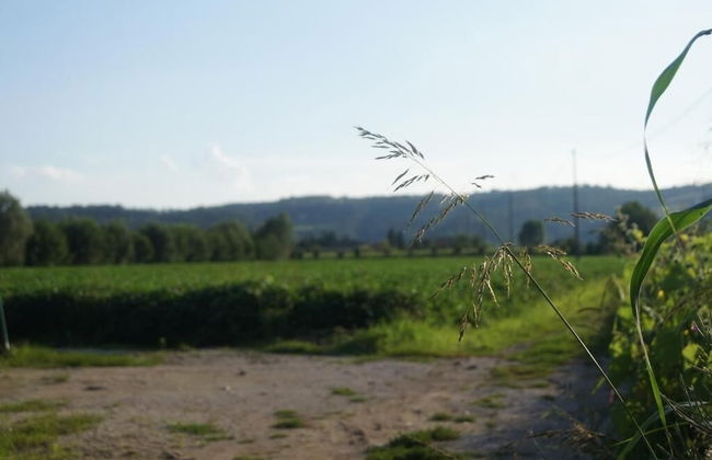 Agriturismo alla Corte - Photo 38