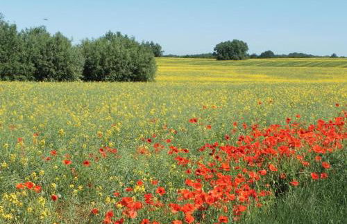 Brise Ferienwohnung - Photo 14