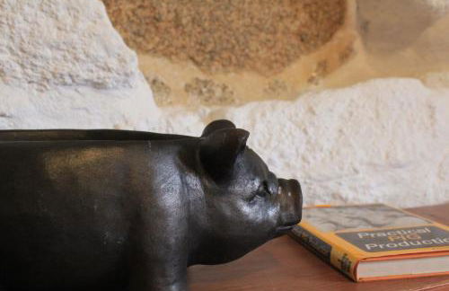 Casa de Vilar de Rei, férias em família com piscina - Foto 50