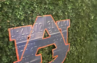 Aubie's Hangout - Walk to Downtown & Campus! - Foto 16