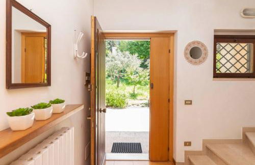 Rosellina Gialla Assisi Oasi di pace in collina - Foto 50