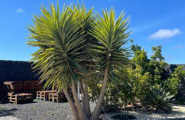 Villa Jaira - Photo 48