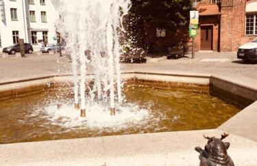 Altstadt Ferienwohnung - Foto 48