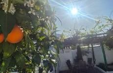 Villa Picasso - Foto 23