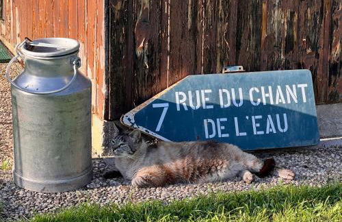 Profiter du calme de la montagne vosgienne - Foto 15