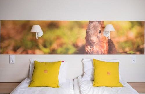 Cicha Zdrój - Foto 12