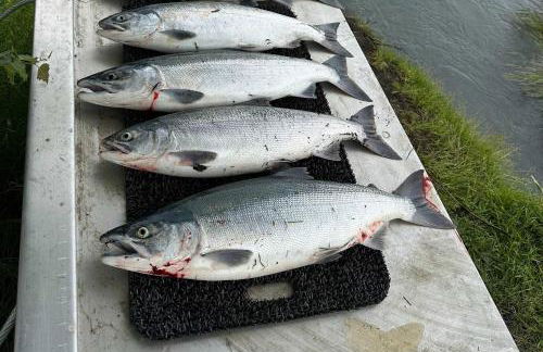 On-Site Kenai River Fishing Soldotna Apartment! - Foto 34