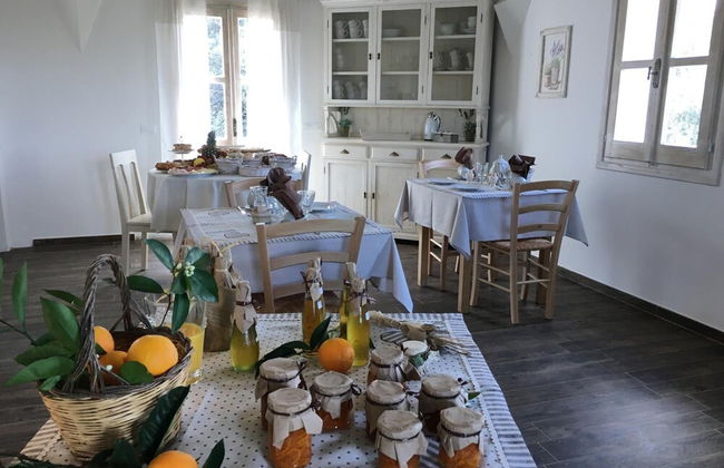 Agriturismo Monti di Jogliu - Photo 68