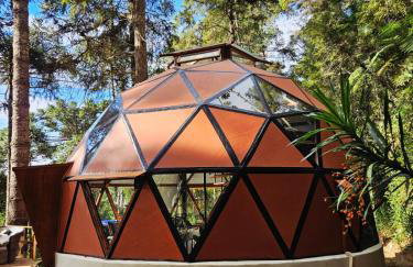 Domo Suíte Real - Foto 30