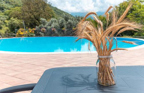 Agriturismo San Basilio - Foto 110