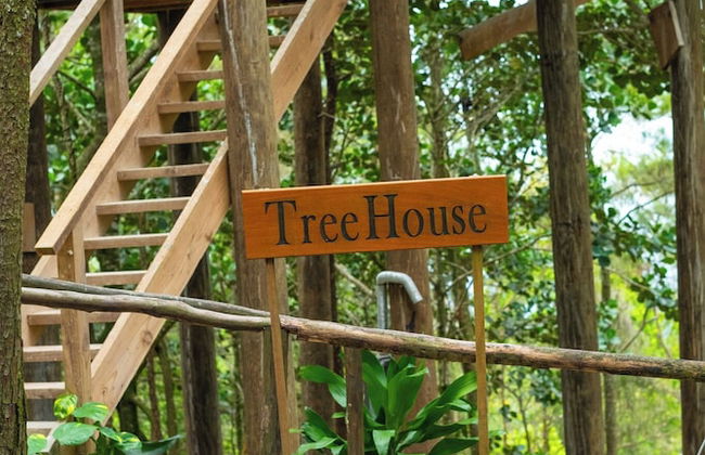 The Grand Forest Jarabacoa - Photo 4