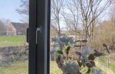 Ferienhaus Landliebe - Foto 28