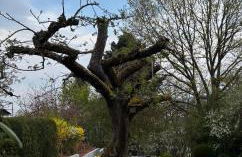 Ferienwohnung an der Warte - Foto 50