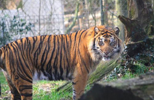 Ferienwohnung K1889 Rheine - Elin - Foto 25