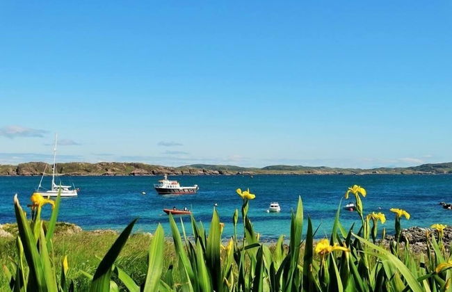 Cottage-isleofmull-stunningviews-wifi-parking - Foto 15