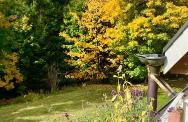 Studio Hase Saig - Photo 19