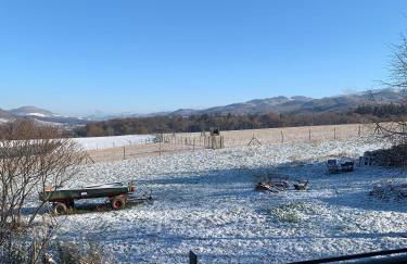 Scheune im Grünen - Foto 21