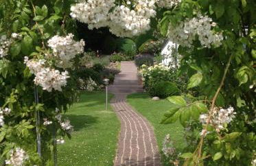 Ferienzimmer am See - Foto 18