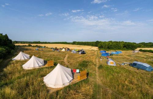 Walltree House Glamping - Glamping Experience - Photo 3