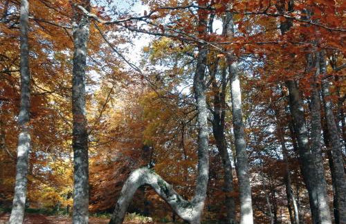 Zabala, entrañable y auténtica casa de pueblo en Anguiano - Foto 34