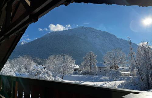 Ferienwohnungen Beim Zellerbäck inkl. Chiemgaukarte - Foto 41