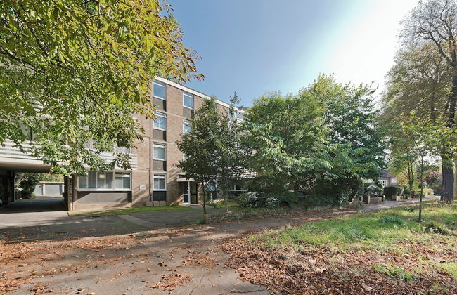 Botanical Bliss by Underthedoormat - Foto 18