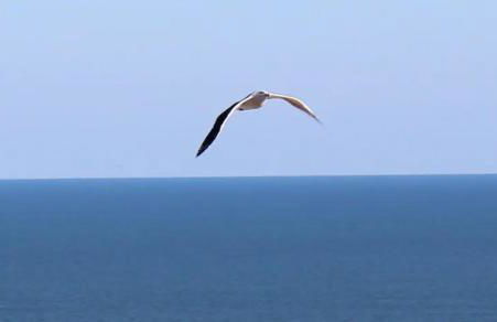 Love Above the Waves -Best Ocean View and Heated Pool - Foto 44