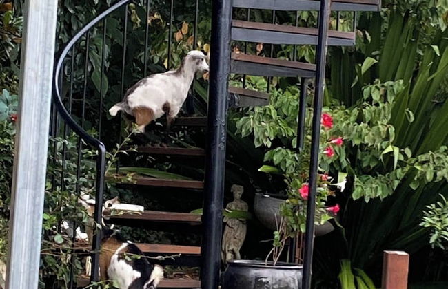 Belvedere Summer House - Foto 78