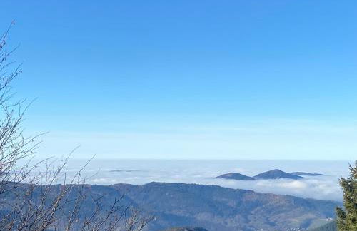 Ferienwohnung Kräutergarten - Foto 25