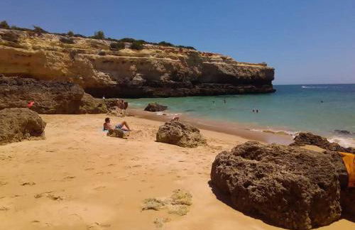 Jardim Paraiso Apartments - Foto 75