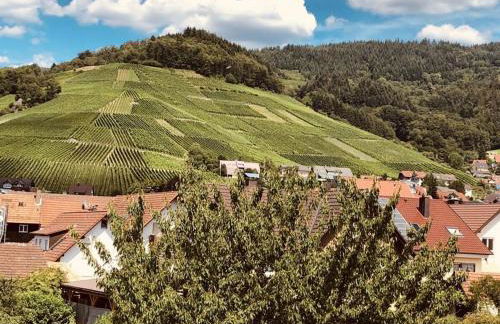 Azuria Black Forest Loft - Photo 18