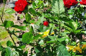 Il Casale di Lucullo - Foto 49