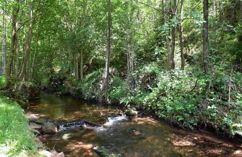 Quiet Chalet with Garden - Foto 20