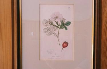 Appartamento La Primula - Photo 30