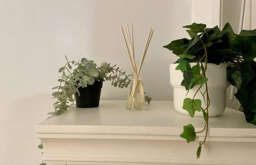 Garden Oasis Cozy Home Near Bart Shop with Parking - Photo 27