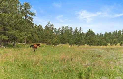 Papa’s Place on Willow Creek - Foto 10