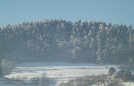Zajazd Bieszczadzka Ostoja - Foto 48