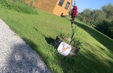 Dwell on the Moor - Foto 33