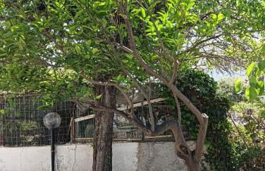 SunFra Retreat - Foto 2