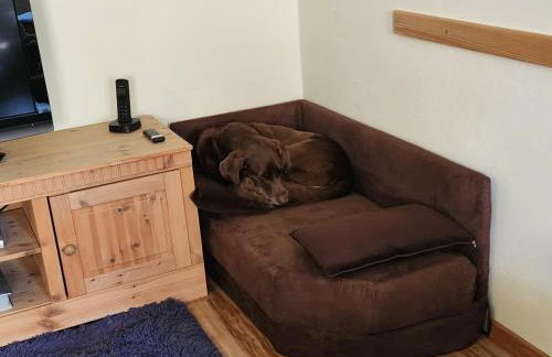 Ferienwohnung Bär - Foto 16