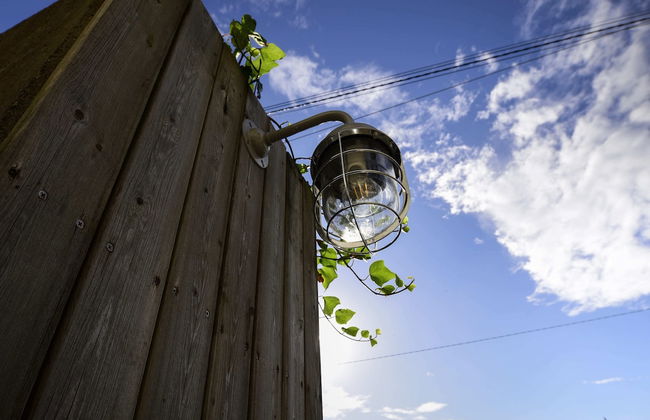 Yuigahama Chiyo - Foto 1