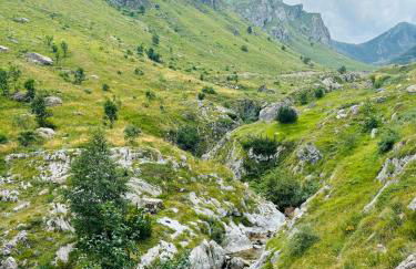 Studio Piccola Renna - Foto 43