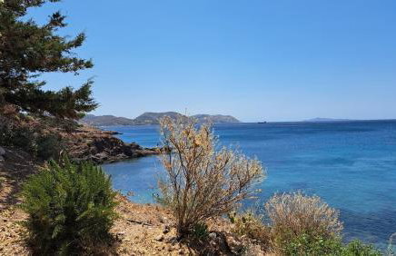 Anemelia & Helios Studio - Foto 51