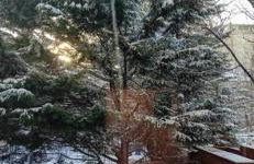 Hampden Hüs - Foto 12