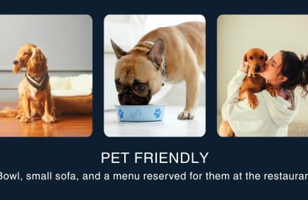 Marina di Scarlino Resort - Photo 8