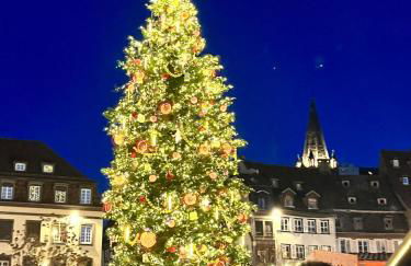 Appartement Strasbourg Centre - Photo 11